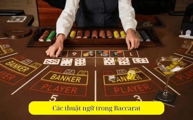 Các thuật ngữ trong Baccarat