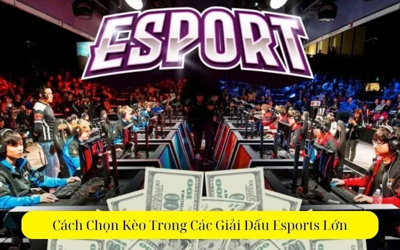 Cách Chọn Kèo Trong Các Giải Đấu Esports Lớn