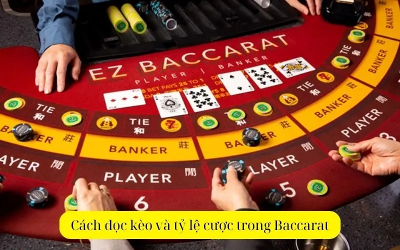 Cách đọc kèo và tỷ lệ cược trong Baccarat