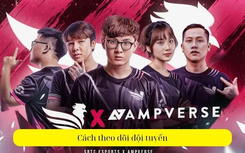 Cách theo dõi đội tuyển