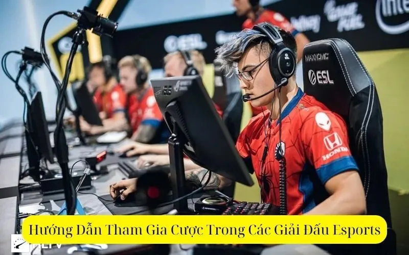 Hướng Dẫn Tham Gia Cược Trong Các Giải Đấu Esports