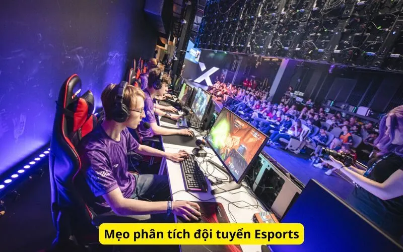 Mẹo phân tích đội tuyển Esports