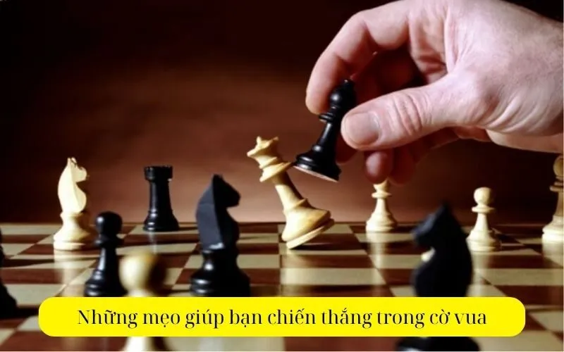 Những mẹo giúp bạn chiến thắng trong cờ vua