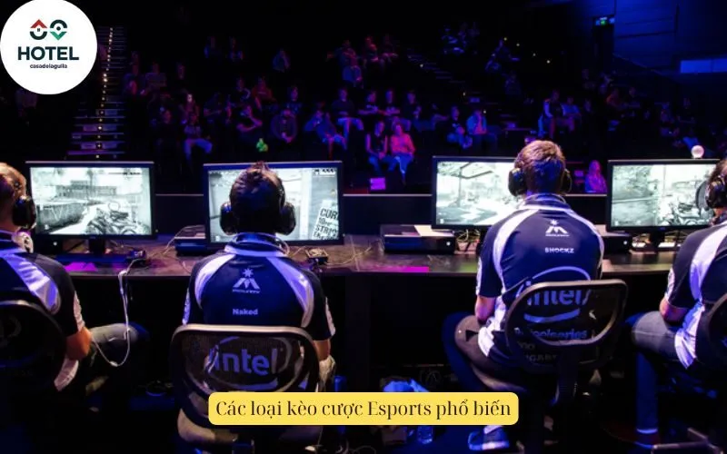 Các loại kèo cược Esports phổ biến
