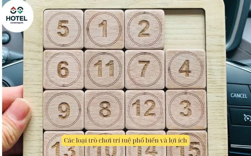 Các loại trò chơi trí tuệ phổ biến và lợi ích