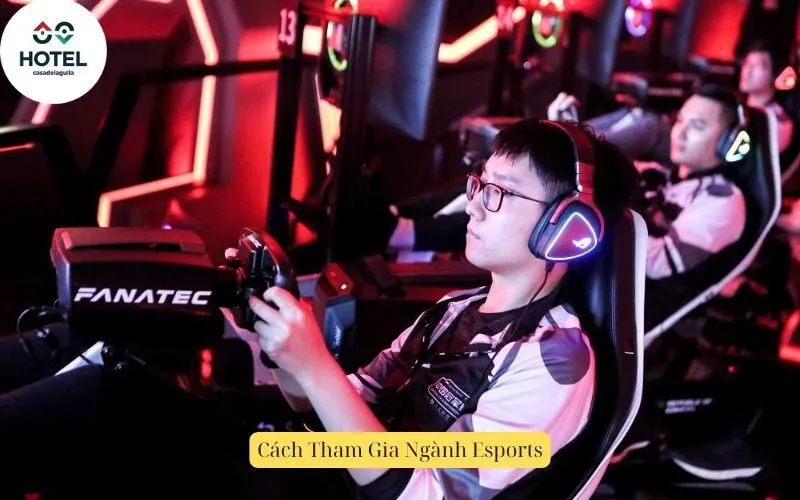 Cách Tham Gia Ngành Esports