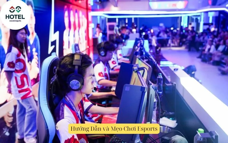 Hướng Dẫn và Mẹo Chơi Esports
