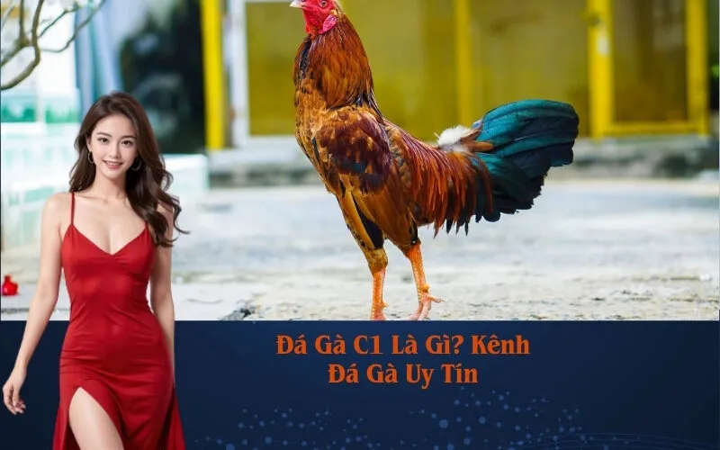 Đá Gà C1 Là Gì? Kênh Đá Gà Uy Tín