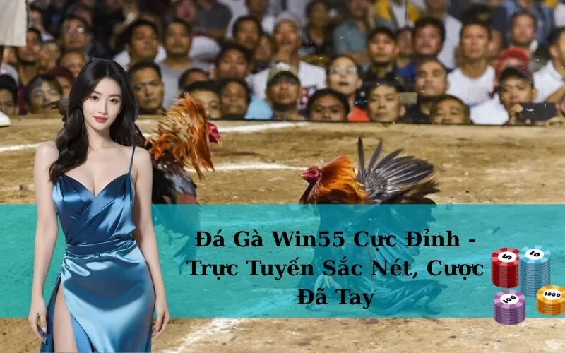 Đá Gà Win55 Cực Đỉnh - Trực Tuyến Sắc Nét, Cược Đã Tay
