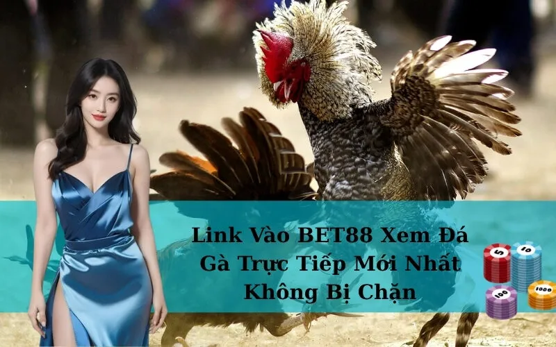 Link Vào BET88 Xem Đá Gà Trực Tiếp Mới Nhất Không Bị Chặn
