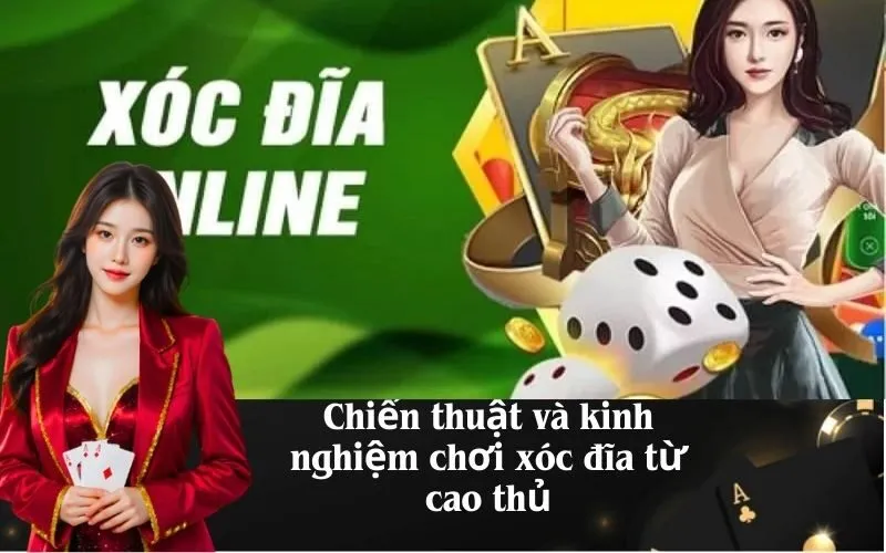Chiến thuật và kinh nghiệm chơi xóc đĩa từ cao thủ- Phân tích chuyên sâu